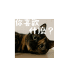 小花達の日常会話スタンプ（台湾華語）（個別スタンプ：12）