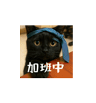 小花達の日常会話スタンプ（台湾華語）（個別スタンプ：16）