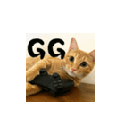 小花達の日常会話スタンプ（台湾華語）（個別スタンプ：20）