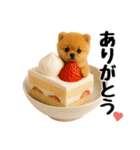 おいしそうなポメラニアン（個別スタンプ：6）