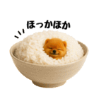 おいしそうなポメラニアン（個別スタンプ：14）