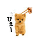 おいしそうなポメラニアン（個別スタンプ：17）