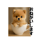 おいしそうなポメラニアン（個別スタンプ：31）