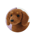 プレミアム福袋13（個別スタンプ：17）