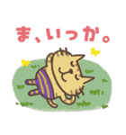 ねこがいる。前を向くの。（個別スタンプ：19）