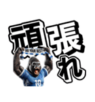 ゴリラ×サッカー！第七弾！デカ文字！（個別スタンプ：21）