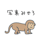 彼女に送るシュールなどうぶつ【彼氏】（個別スタンプ：20）