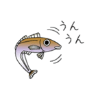 鱚彦（キスヒコ）くんの日常会話スタンプ（個別スタンプ：6）