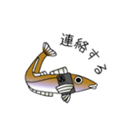 鱚彦（キスヒコ）くんの日常会話スタンプ（個別スタンプ：8）