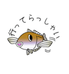 鱚彦（キスヒコ）くんの日常会話スタンプ（個別スタンプ：12）