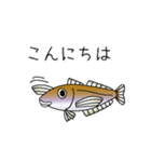 鱚彦（キスヒコ）くんの日常会話スタンプ（個別スタンプ：20）