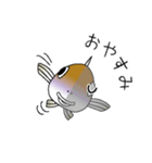 鱚彦（キスヒコ）くんの日常会話スタンプ（個別スタンプ：22）