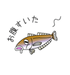 鱚彦（キスヒコ）くんの日常会話スタンプ（個別スタンプ：23）