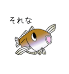 鱚彦（キスヒコ）くんの日常会話スタンプ（個別スタンプ：34）