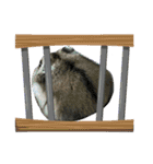 とのまるでち。（個別スタンプ：5）