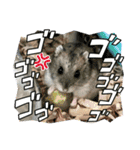 とのまるでち。（個別スタンプ：6）