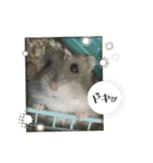 とのまるでち。（個別スタンプ：8）