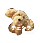 ポーランド語の発音（個別スタンプ：3）