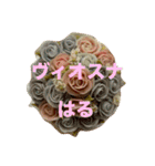 ポーランド語の発音（個別スタンプ：4）