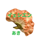 ポーランド語の発音（個別スタンプ：6）