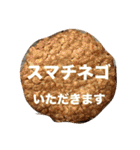 ポーランド語の発音（個別スタンプ：9）