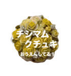 ポーランド語の発音（個別スタンプ：20）