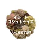 ポーランド語の発音（個別スタンプ：22）
