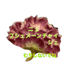 ポーランド語の発音（個別スタンプ：30）