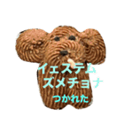 ポーランド語の発音（個別スタンプ：34）