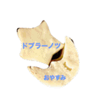 ポーランド語の発音（個別スタンプ：40）