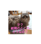 りんちゃんとルルさんの言い分（個別スタンプ：4）