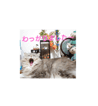 りんちゃんとルルさんの言い分（個別スタンプ：6）