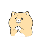 泣きむし猫のキィちゃん 5（個別スタンプ：1）