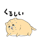 泣きむし猫のキィちゃん 5（個別スタンプ：8）
