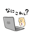 泣きむし猫のキィちゃん 5（個別スタンプ：13）