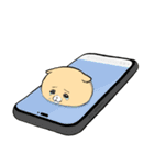 泣きむし猫のキィちゃん 5（個別スタンプ：16）