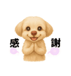 ふわもこ犬の色々使える基本スタンプ16種（個別スタンプ：1）