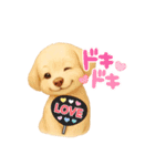 ふわもこ犬の色々使える基本スタンプ16種（個別スタンプ：5）