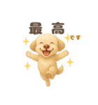 ふわもこ犬の色々使える基本スタンプ16種（個別スタンプ：6）
