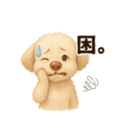 ふわもこ犬の色々使える基本スタンプ16種（個別スタンプ：8）