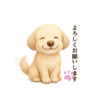 ふわもこ犬の色々使える基本スタンプ16種（個別スタンプ：9）