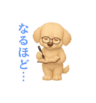 ふわもこ犬の色々使える基本スタンプ16種（個別スタンプ：10）