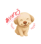 ふわもこ犬の色々使える基本スタンプ16種（個別スタンプ：13）