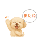 ふわもこ犬の色々使える基本スタンプ16種（個別スタンプ：14）