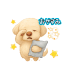 ふわもこ犬の色々使える基本スタンプ16種（個別スタンプ：16）