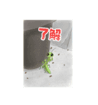 カマキリの世界（個別スタンプ：4）