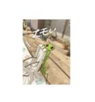 カマキリの世界（個別スタンプ：5）