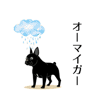 LOVE 黒いフレブル（個別スタンプ：31）