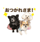 ウユ アンジュ イブ ちゃんのスタンプです（個別スタンプ：1）