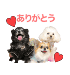 ウユ アンジュ イブ ちゃんのスタンプです（個別スタンプ：2）